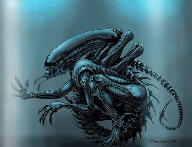 File:Xenomorph.jpg