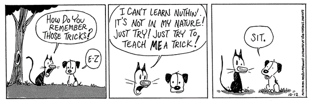 File:101294.gif