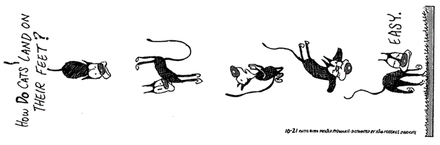 File:102194.gif