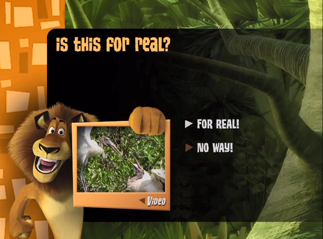 File:BequalMadagascarTrivia27.png