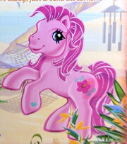 BeachcomberBackcardArtwork