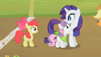 WeAreApplePie.png