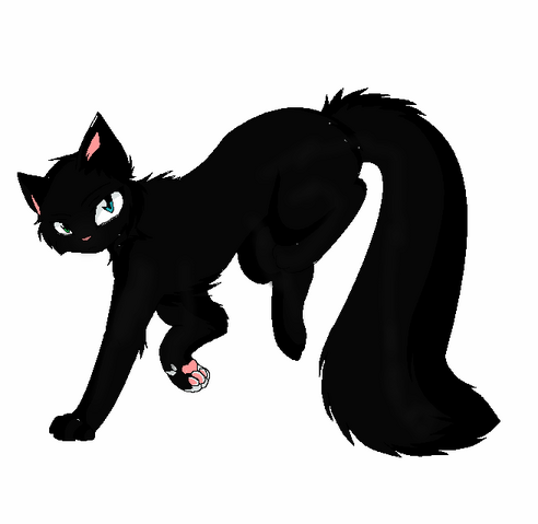 File:Midnightvector2.png