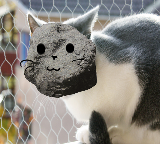 File:Stone faeceee.png