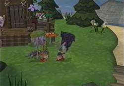 Kingdom Be Nice Interaction