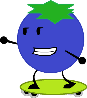 Blueberry Skateboarding