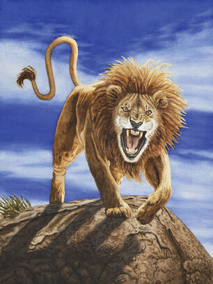 Nemean lion 2