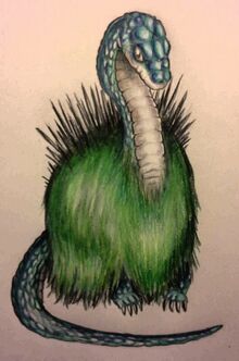 PELUDA