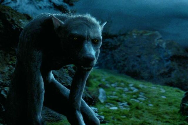 Plik:Werewolf.jpg