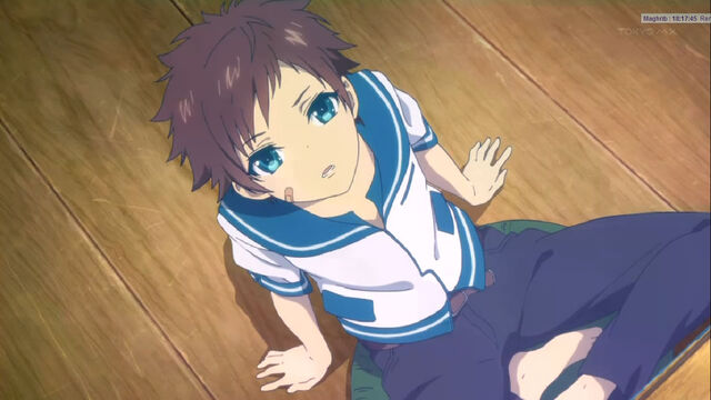 File:Hikari13123912.jpg