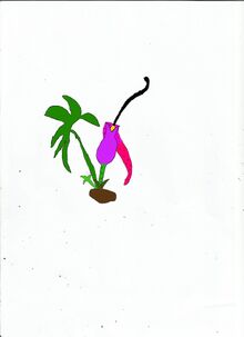 Arum tetolatum 001