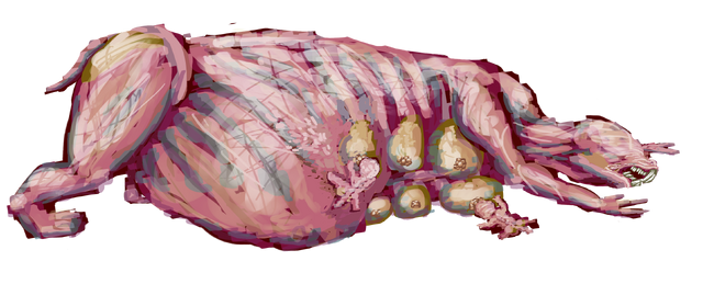 File:Mother.png