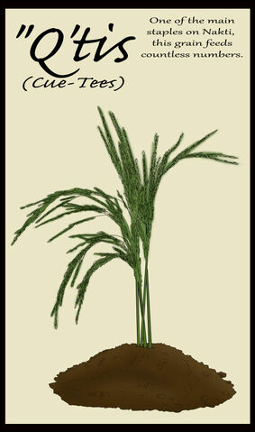 File:Qtis.jpg