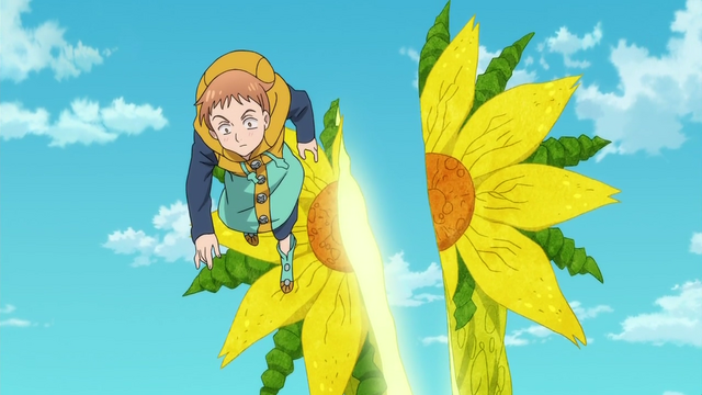 File:Sunflower cut in two.png