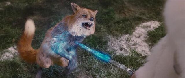 Fichier:Foxstone.jpg