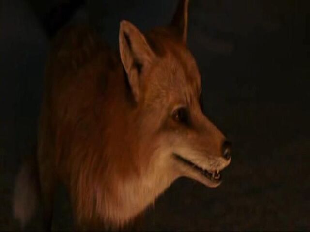 File:Mr. fox.jpg
