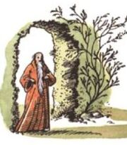 Hermit