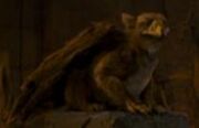 Gryf.narnia1.jpg