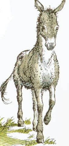 File:Puzzle.jpg