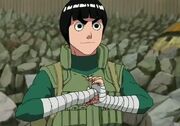 Rock Lee.jpg