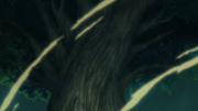 Shinju Originel.png