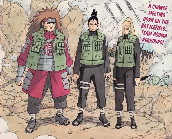 Fișier:Teamasuma2.jpg