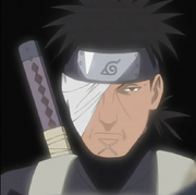 Danzo adulto.png