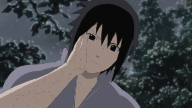 File:To See That Smile.png