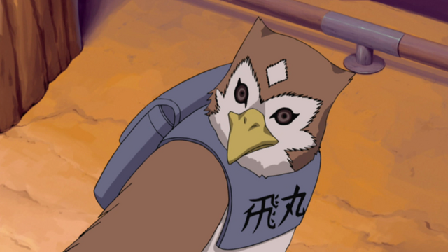 File:Tobimaru.png