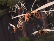 Bees