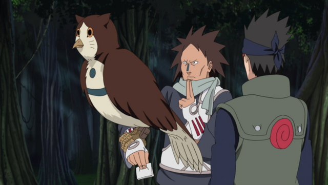 File:Motoi owl.png