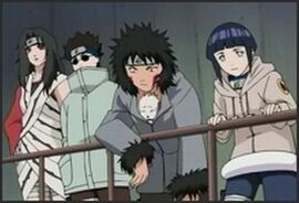 Kurenai csapat.jpg