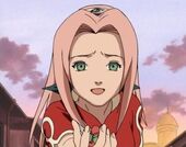 Saku1.jpg