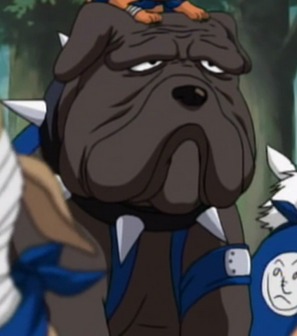 File:Bull.png