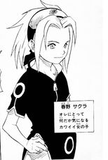 Sakura1.jpg