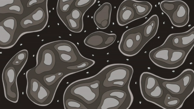 File:C4 in Blood.png