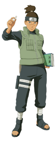 File:Iruka full.png