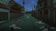 323v.png