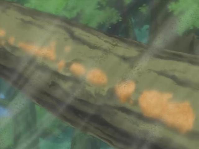 File:Dust wind technique.png