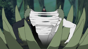Zetsu dividing.png