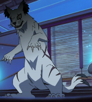 Aparência Completa de Nekomata