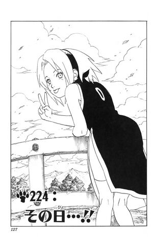 File:Chapter 224.jpg