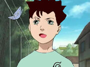 Little Itari.jpg