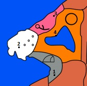 Mapa-traktatshihon