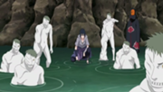Zetsu llega