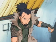 Shikaku Nara battle attire