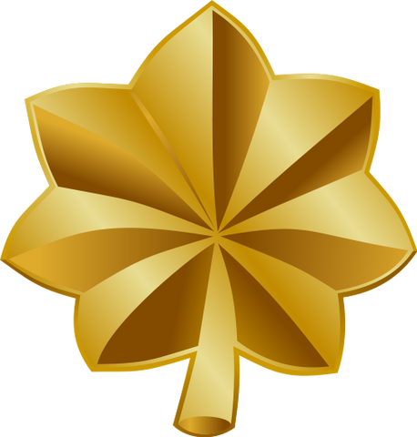 File:Federal Police Sergeant.png