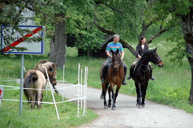 File:Poertschach Reiten.jpg