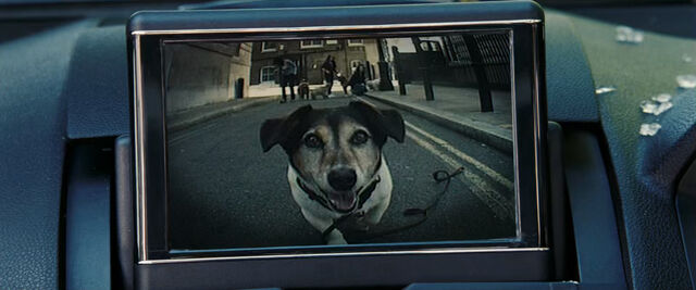 File:DoglickyLicks.jpg