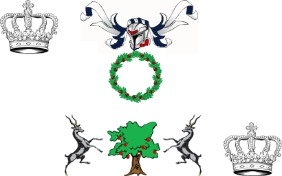 File:Wane's flag.png